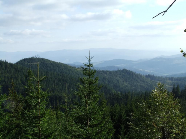 Beskid Sądecki - Radziejowa i okolice #Góry