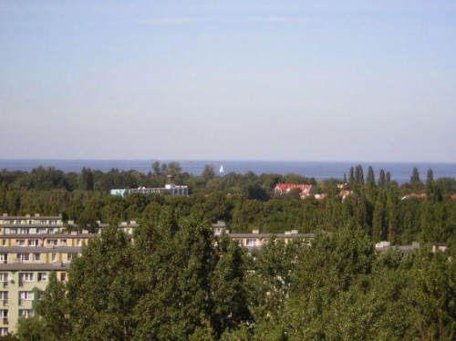 widok2