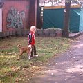 nasz pies na 6 zdjęciach
