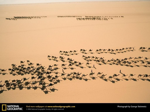 Sahara Desert, Niger, 1997
Photograph by George Steinmetz