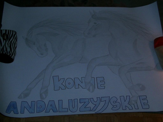 Konie andaluzyjskie- made by Ecik