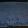 Konie andaluzyjskie- made by Ecik