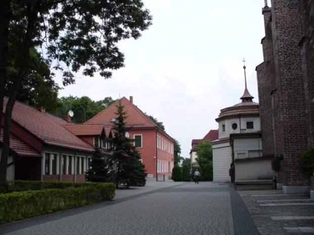 Centrum i okolice Żor