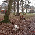 Acheres - Park Champ-Millet