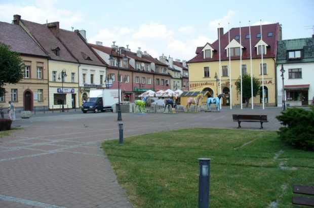 Centrum i okolice Żor