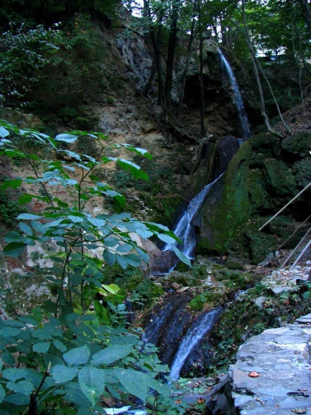 Tokaj pażdziernik 2006