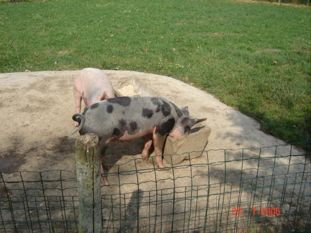 Cernay La Ville - ferme du bout du pres