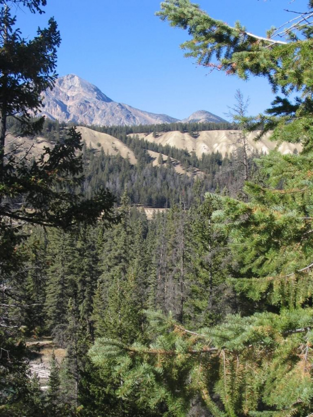 Jasper, Alberta, Canada
7-8 X 2006