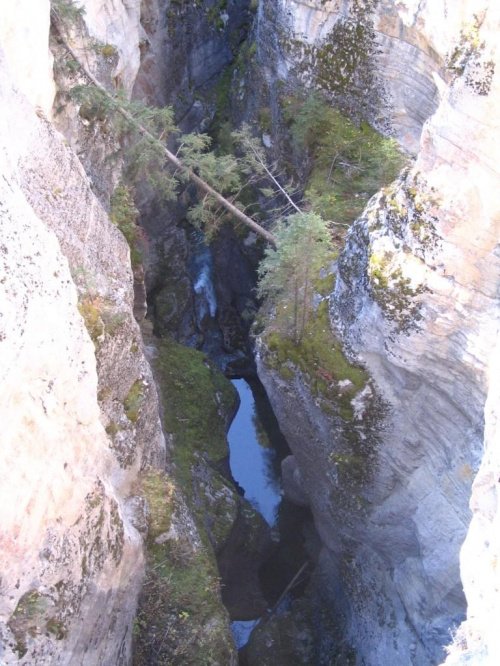 Maligne Canyon, Jasper, Alberta, Canada, 8 X 2006