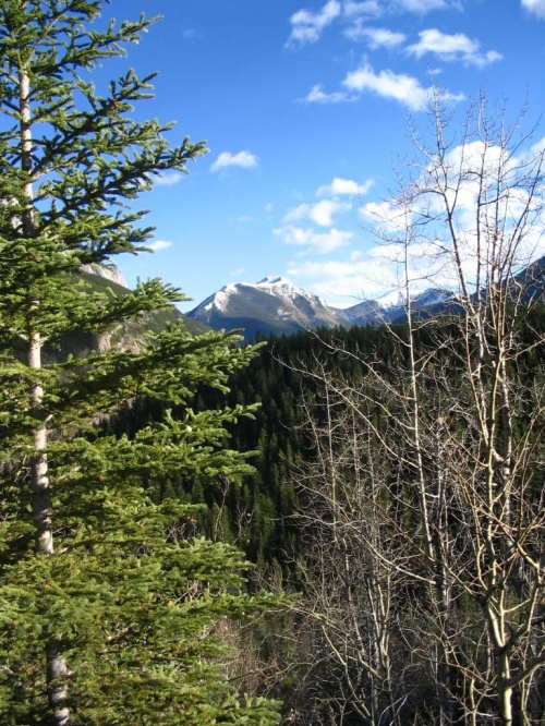 Jasper, Alberta, Canada 8 X 2006