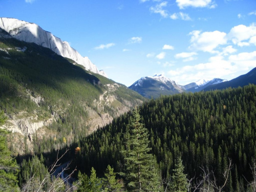 Jasper, Alberta, Canada 8 X 2006