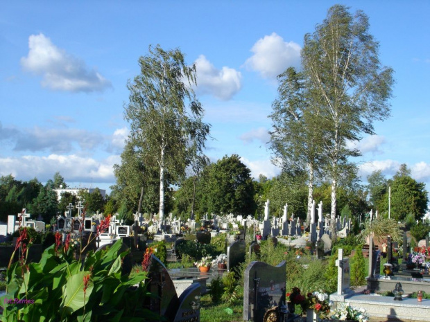 Cmentarz Komunaly w Piszu #Pisz