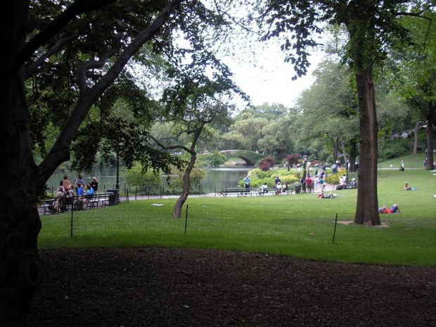 Nowojorski Central Park. Największy park w Nowym Jorku, jednak wszystko jest w nim zrobione ręką człowieka. Pod tą masą zieleni, jest beton, a pod nim cała machineria, która włącza sztuczne strumyczki, wodospady, źródełka. Nie ma w nim niestety nic nat...