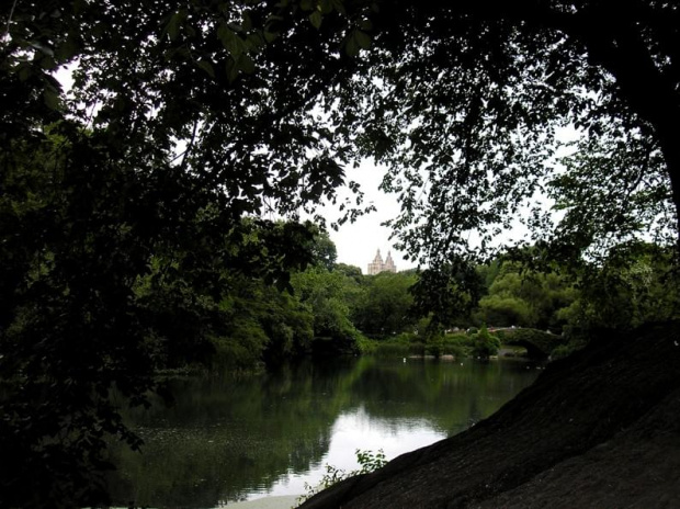 Nowojorski Central Park. Największy park w Nowym Jorku, jednak wszystko jest w nim zrobione ręką człowieka. Pod tą masą zieleni, jest beton, a pod nim cała machineria, która włącza sztuczne strumyczki, wodospady, źródełka. Nie ma w nim niestety nic nat...