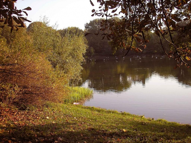 Jeden z urokliwych zakątków Parku Skaryszewskiego