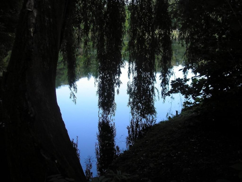 Park Skaryszewski, jego uroki