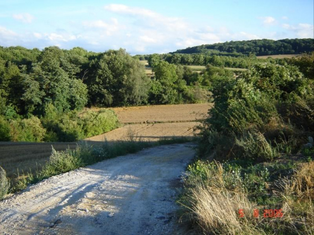 Maurecourt - pola przy Triel-sur-Seine i Andrésy