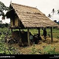 Laos, 1968
Photograph by Wilbur E. Garrett