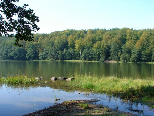 Jezioro Potęgowskie