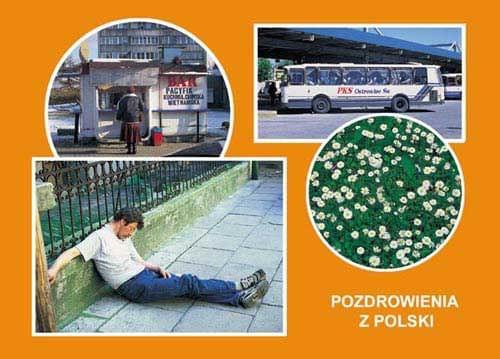 niazla pocztówka!! i to jest prawda wrzystko:)ta nasza polska
