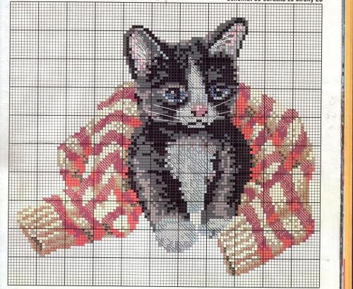 Kot w sweterku - diagram