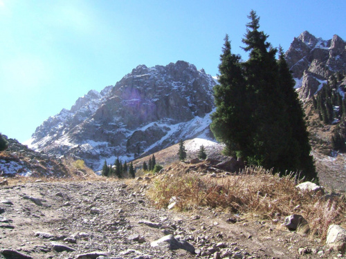 Szlak w górach Altay