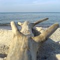 Impresje plażowe #plaża