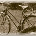 stary rower