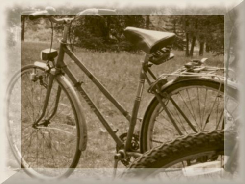 stary rower