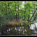 Zbiory luksusowej porcelany, szkła i srebra uzupełniają obrazy i rzeźby, niezmierną wartość ma też biblioteka z prawieże 16 000 tomów.