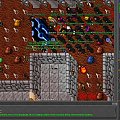 Test server #tibia #TestServer #TibiaTest