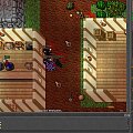 Test server #tibia #TestServer #TibiaTest