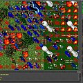 Test server #tibia #TestServer #TibiaTest