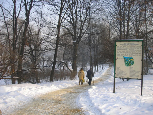 Park Skaryszewski w Warszawie w puchowej szacie