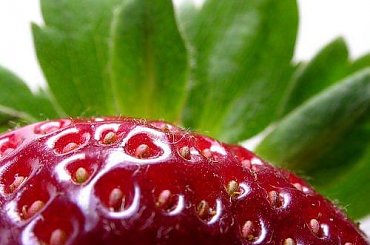 Truskawki #truskawki