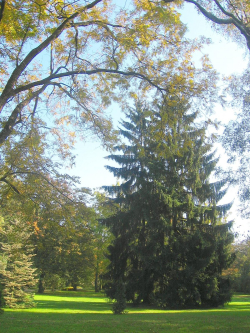 Żelazowa Wola - Jesień 2006