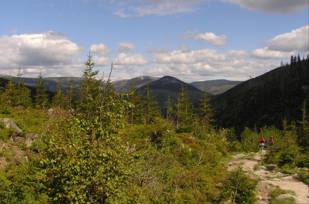 Mola, Tomek i Ania w Czeskich Karkonoszach