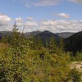 Mola, Tomek i Ania w Czeskich Karkonoszach