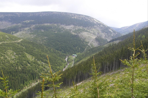 Mola, Tomek i Ania w Czeskich Karkonoszach