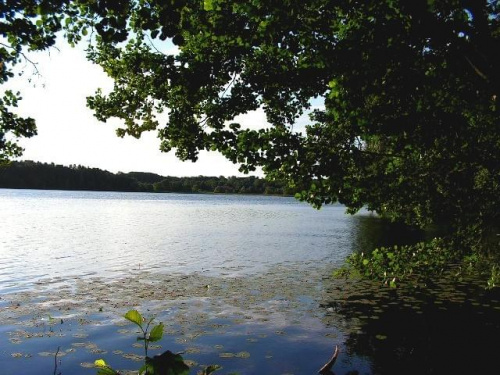Jezioro w Trokach