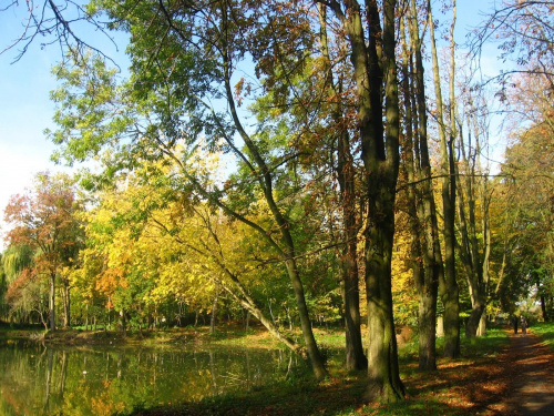 Jesień w Guzowie-pazdziernik2006