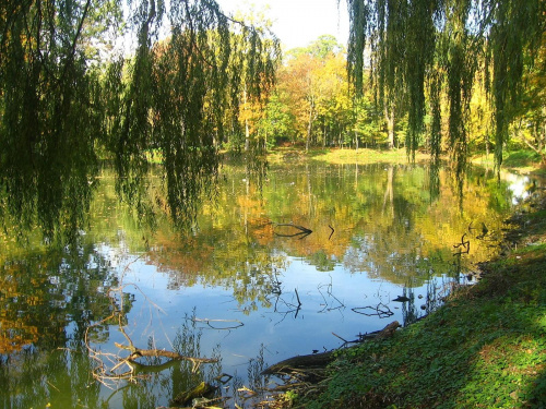 Jesień w Guzowie-pazdziernik2006