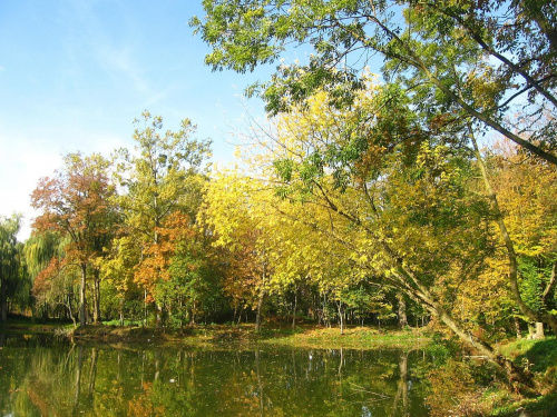 Jesień w Guzowie-pazdziernik2006