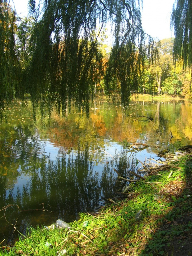 Jesień w Guzowie-pazdziernik2006