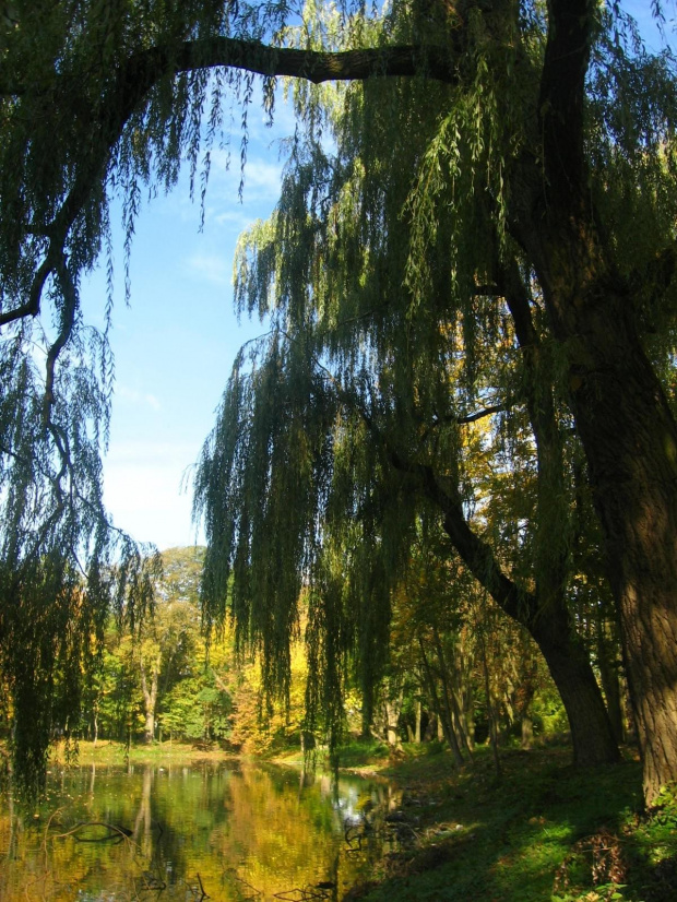 Jesień w Guzowie-pazdziernik2006