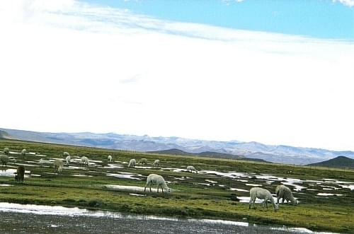 Widok z drogi prowadzącej do kanionu Colca, Peru