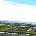 Widok z drogi prowadzącej do kanionu Colca, Peru