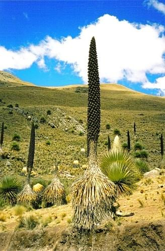 Codilliera blanca, Peru