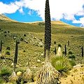 Codilliera blanca, Peru