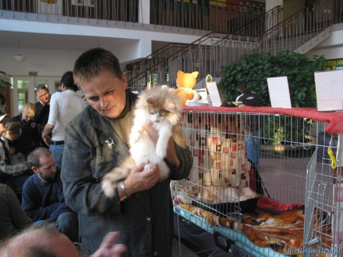 pokaz kotów Elbląg 10.2006 #kot #pokaz